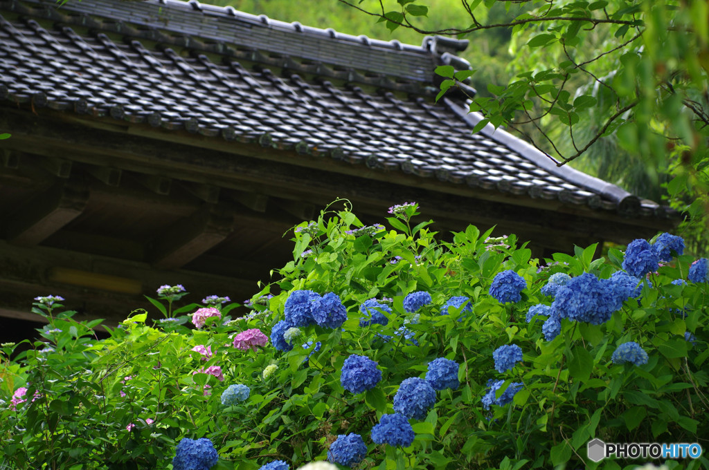 瓦
