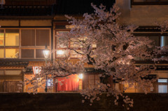 趣