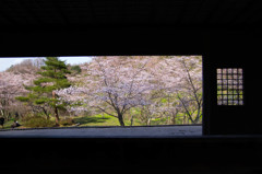 眺