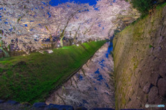 遥