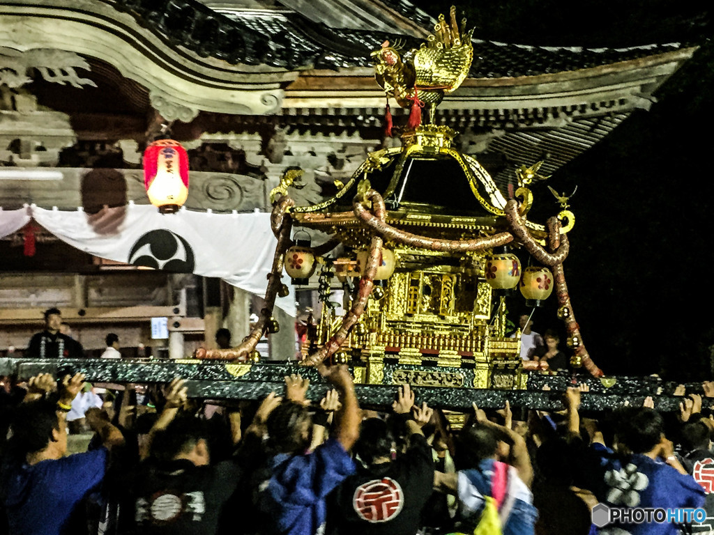 社