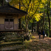 屋