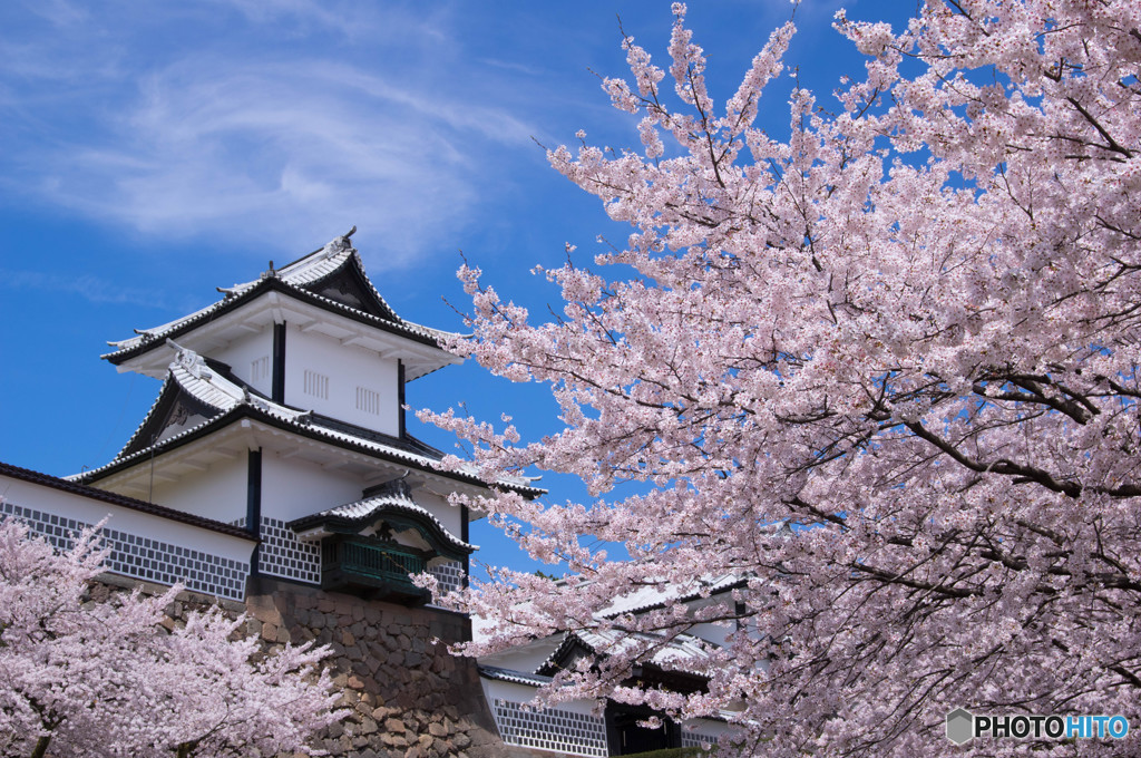 門