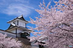 門
