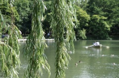 中島公園