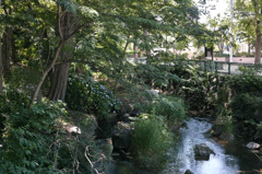 中島公園
