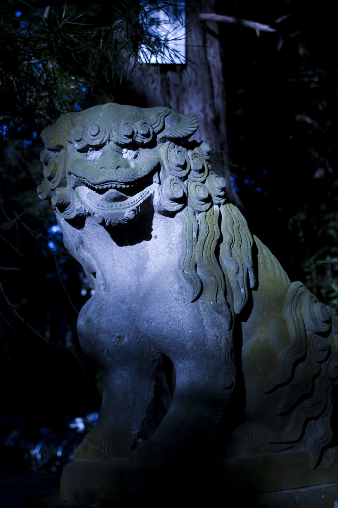 P1150562