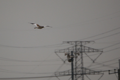 P1020364_p