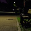 夜の公園 1