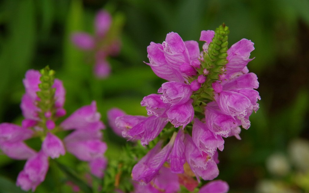 IMGP4576~01