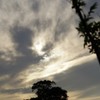 隠日幻雲
