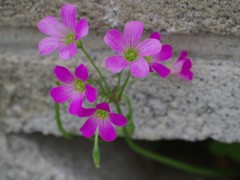 壁の穴から。1