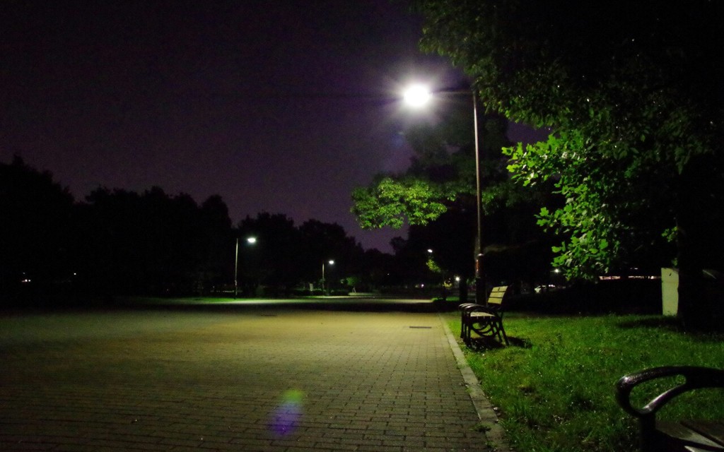 夜の公園 2