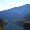 池に映る紅葉