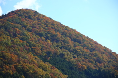 紅葉コントラスト