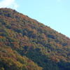 紅葉コントラスト