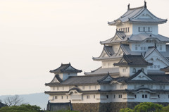 朝日の白鷺城＿２