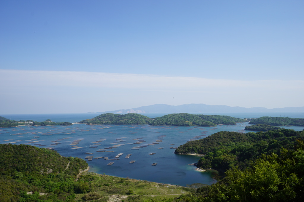 山から見た海