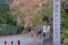 下鴨神社よ有難う3