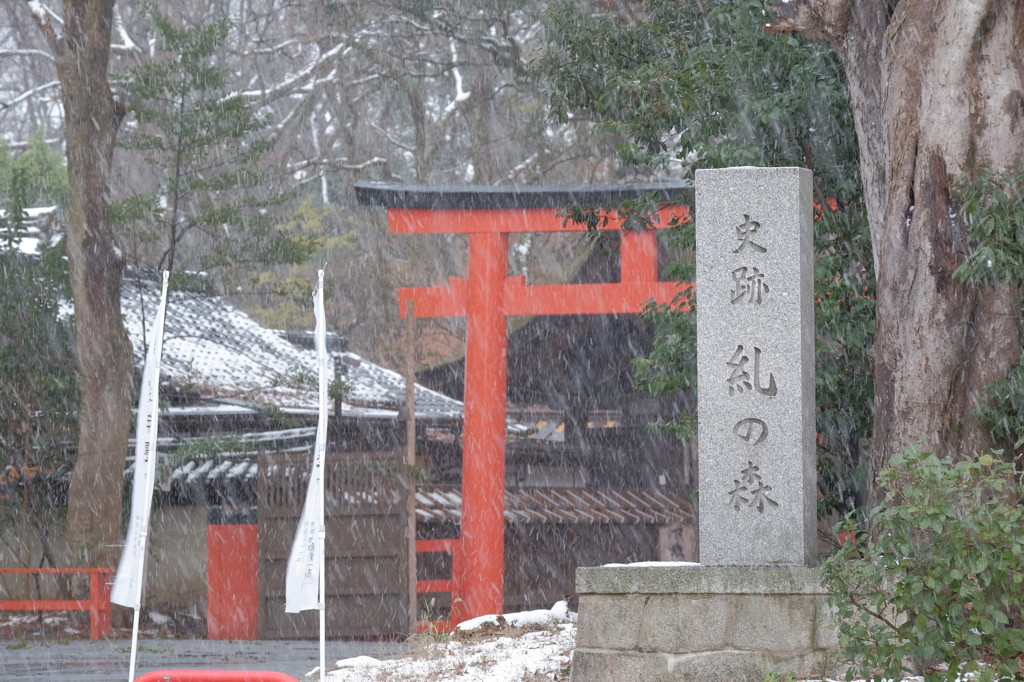 12/18㈭京都府南部　曇り時々雪