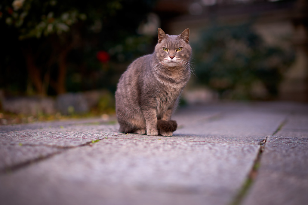 ｢前略、道の上より｣