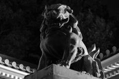 八坂神社　狛犬(新)右側