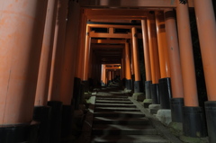伏見稲荷　鳥居
