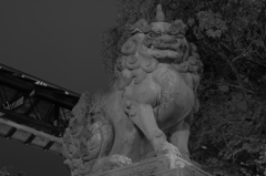 八坂神社 狛犬(旧)左