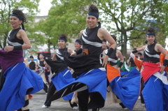 犬山踊芸祭⑩心纏いさん