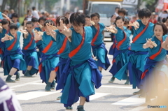 よさこい祭り2015in高知③