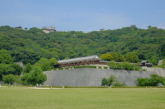 堀の内より松山城　城山を望む