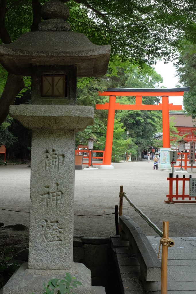 糺の森より下鴨神社を望む