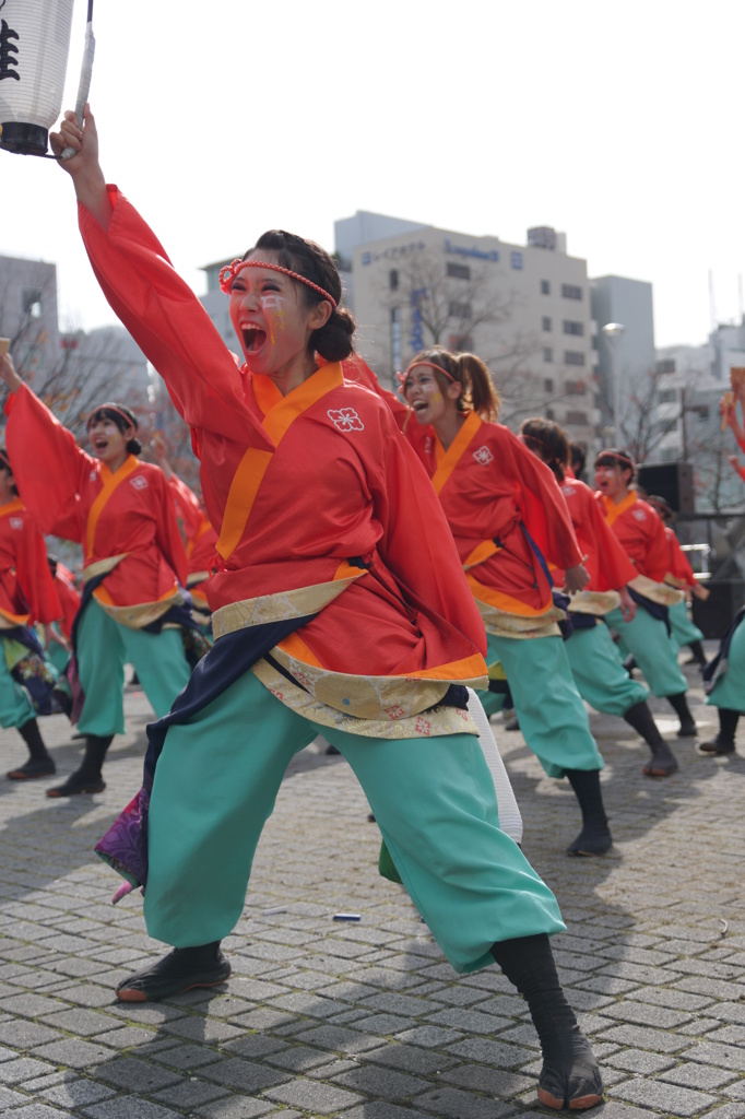 四日市よさこい祭り～やったろ舞～③皇學館大學　雅さん