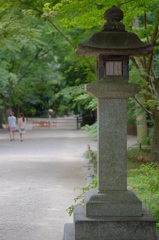 下鴨神社より糺の森を望む