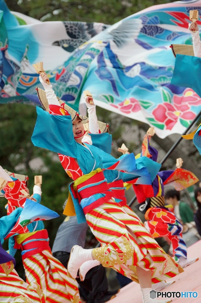 京都さくらよさこい①いなんさん