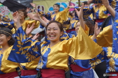 堺よさこいかえる祭り⑲神戸学生よさこいチーム湊さん2