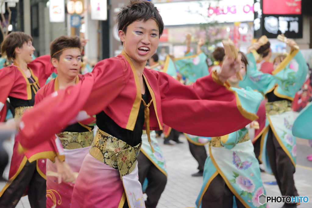 よさこい祭り2015in高知⑥