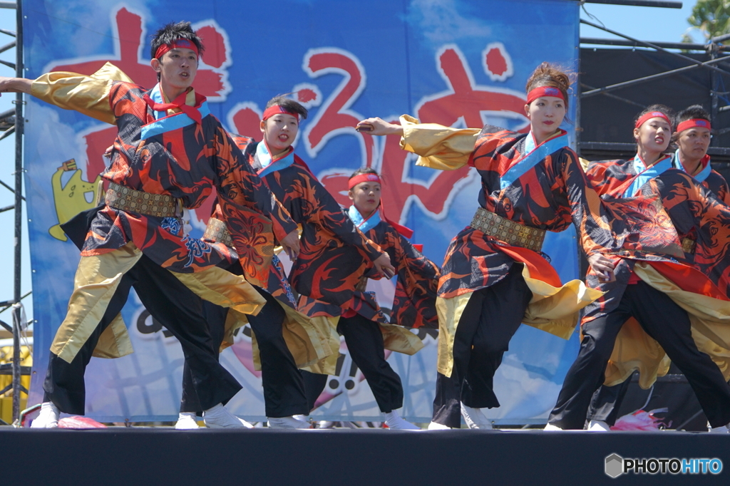紀州よさこい祭り⑦夢天翔さん