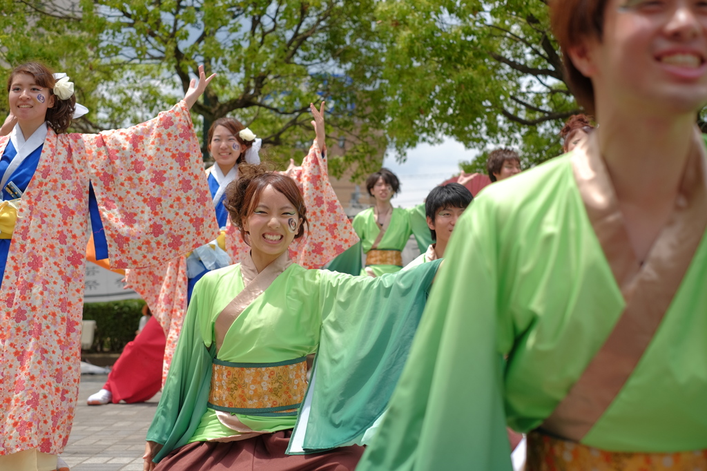 犬山踊芸祭⑧浜松学生連　鰻陀羅さん