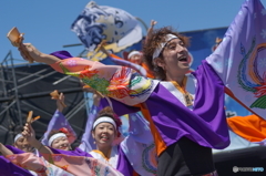 紀州よさこい祭り③海友会dance　team　楽舞和さん