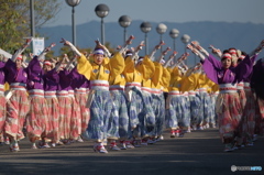 ゑぇじゃないか祭り③