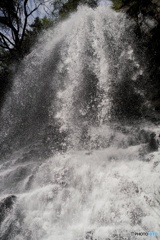 春の瀑布