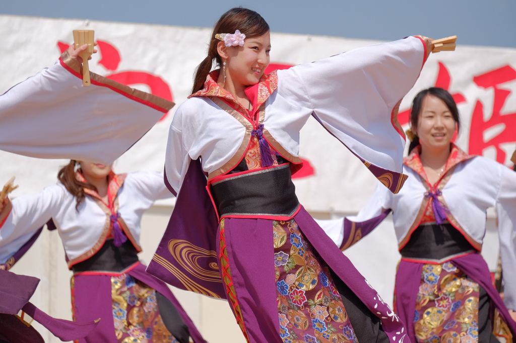 みやこ姫よさこい祭り③