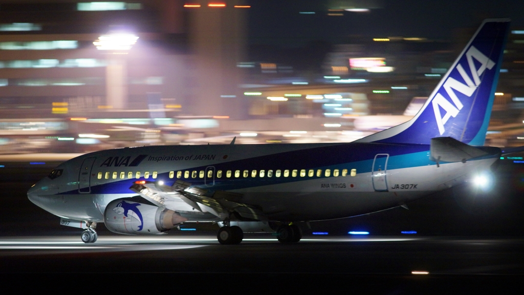 ANA B737-500無理なので着陸で(笑)