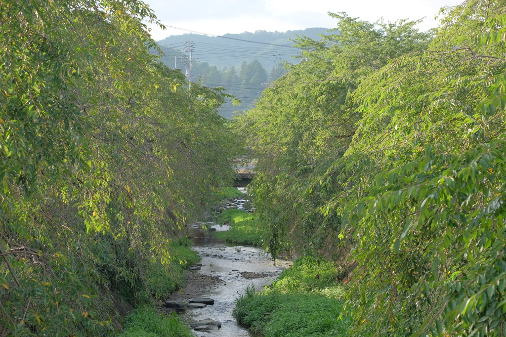 内子　郷之谷川