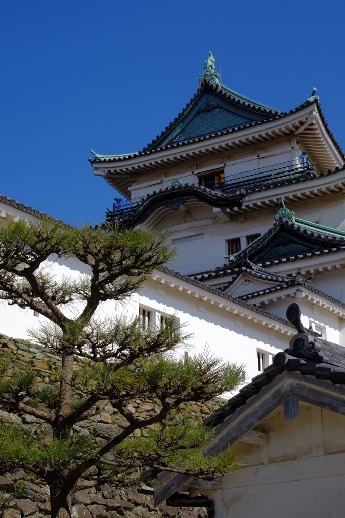 嗚呼、社員旅行②(和歌山城復興天守)