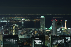 神戸夜景 諏訪山公園より元町方向を望む