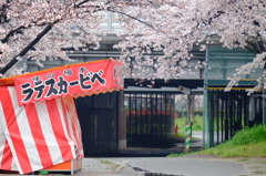 味の場本　ラテスカービベ