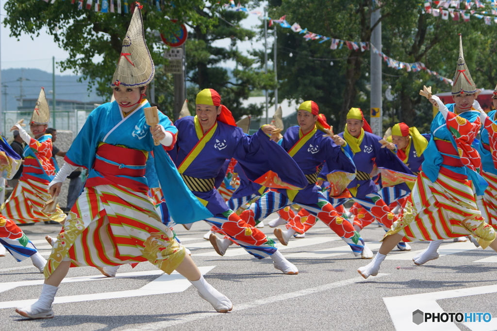 よさこい祭り2015in高知➈