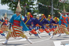 よさこい祭り2015in高知➈